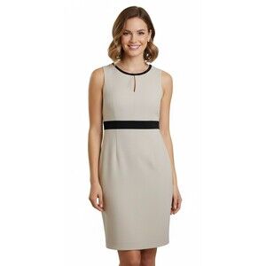 Calvin Klein Sheath Dress Size 6 Tan Beige Colorblock Sleeveless Work Career EUC